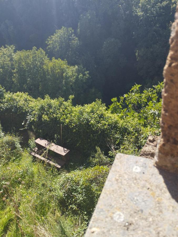 Barbarano Romano Antica Dimora 아파트 외부 사진